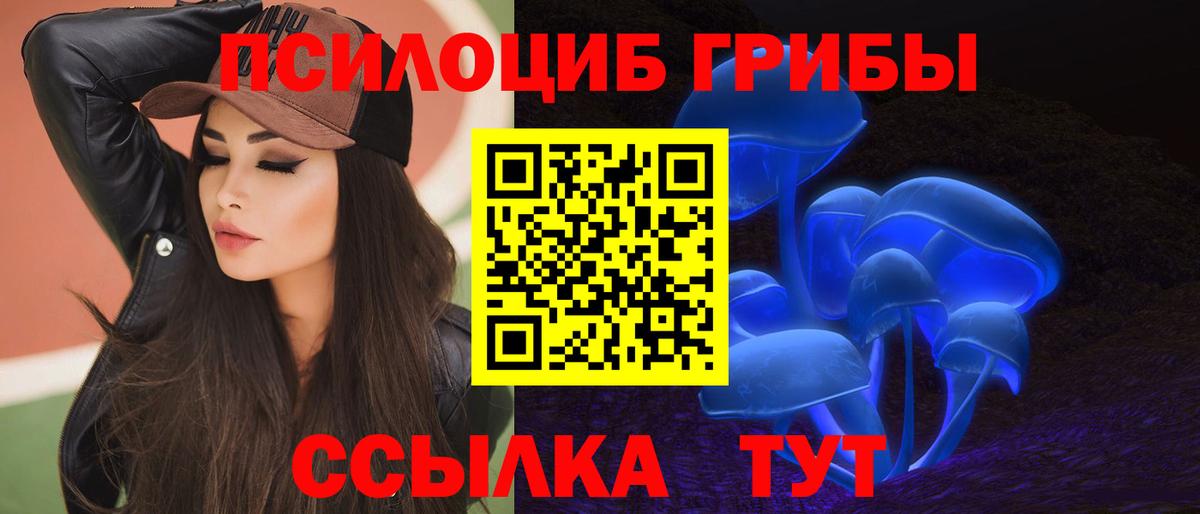 Томск  Галлюциногенные грибы Magic Shrooms  Вход с VPN  Галлюциногенные грибы MAGIC MUSHROOMS 