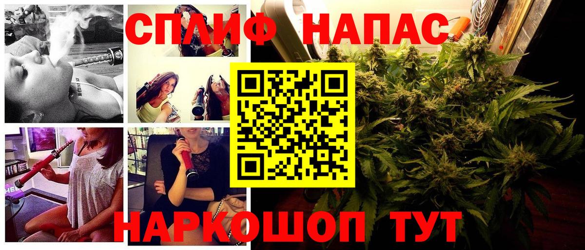 Каннабис MAZAR Томск